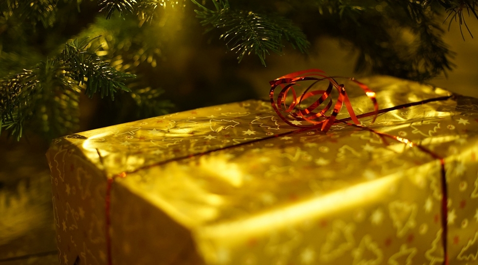 «Дед Мороз» оставил подозрительную посылку в подъезде жилого дома в Москве