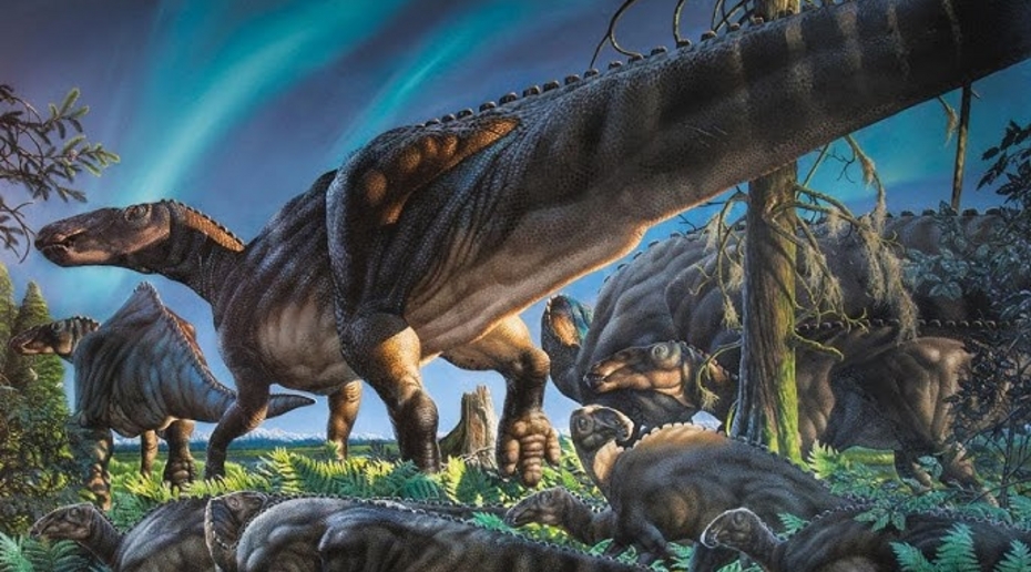 Китайские учёные откопали яйца динозавров и поразились их уникальности