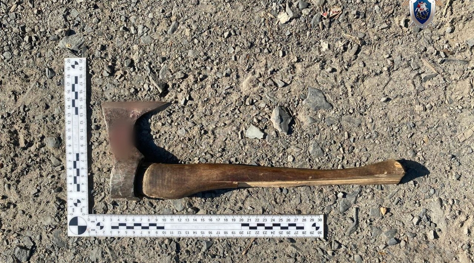 Житель Карелии зарубил топором малознакомую женщину