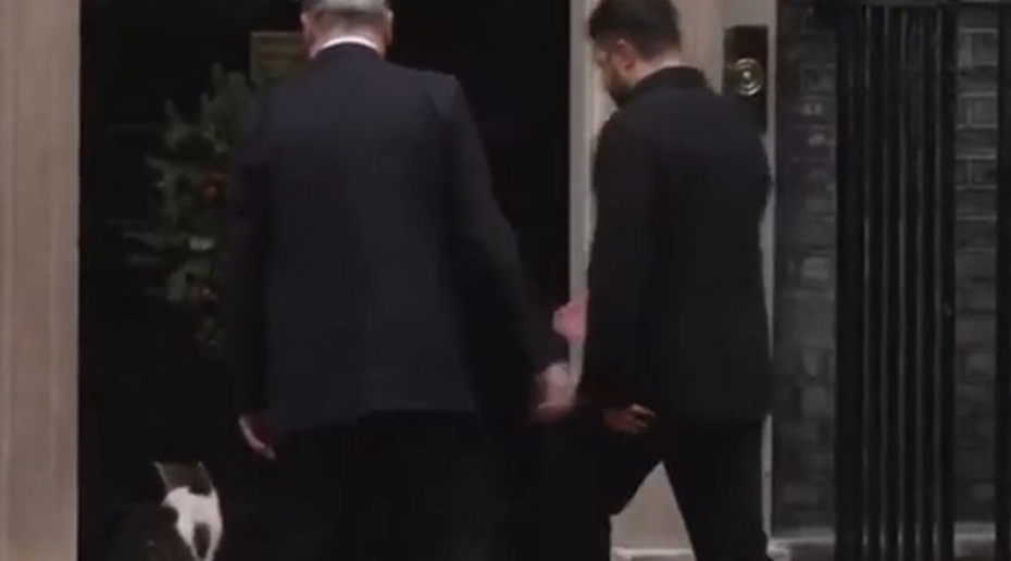 Кот Ларри убежал из резиденции на Даунинг-стрит после прихода Зеленского