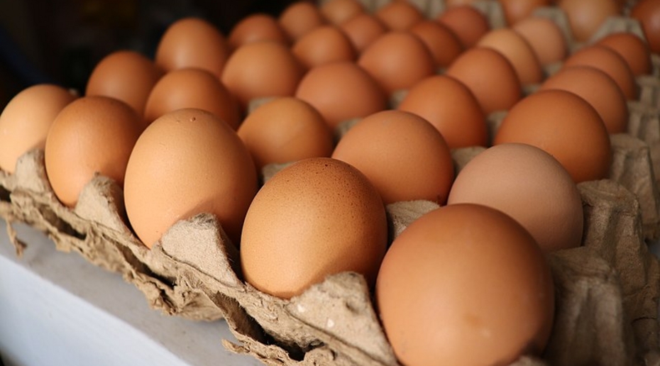 В Оренбурге куриные яйца из-за подорожания стали продавать поштучно