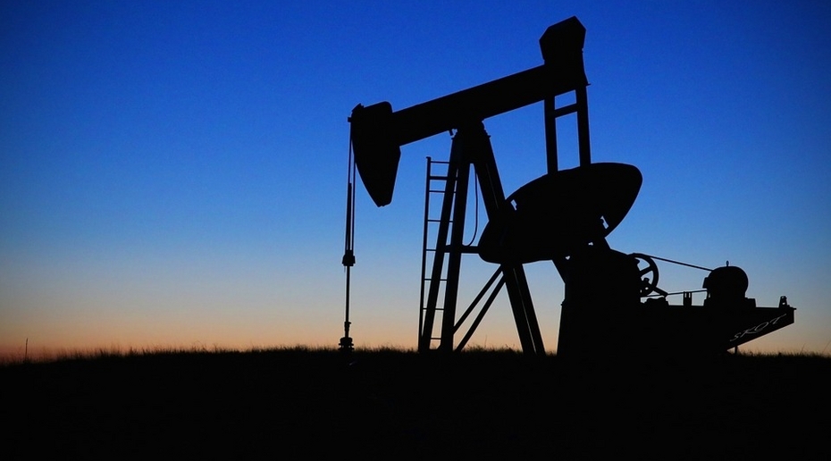 Новак: доходы российского бюджета от нефтегазовой отрасли по итогам прошлого года выросли на 28%