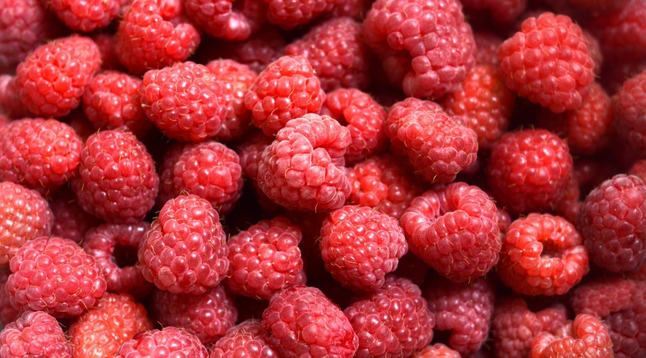 Как вырастить хороший урожай малины: агроном поделилась советами