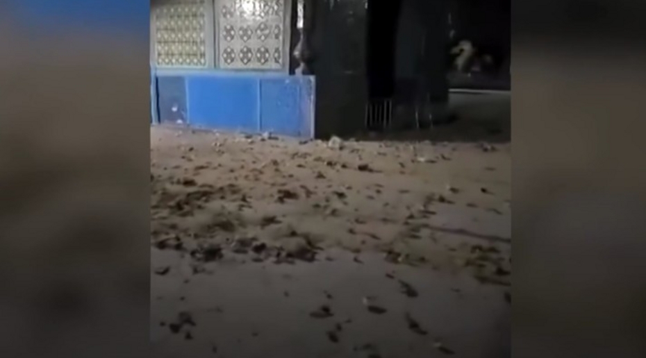 Мощное землетрясение в Афганистане: разрушена мечеть, погибли люди