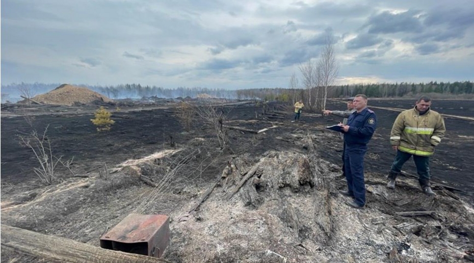 Обвиняемые в пожаре в Свердловской области предстали перед судом