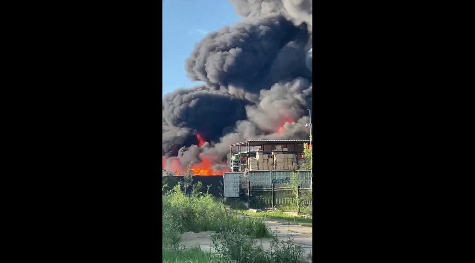 Фото: скриншот из видео