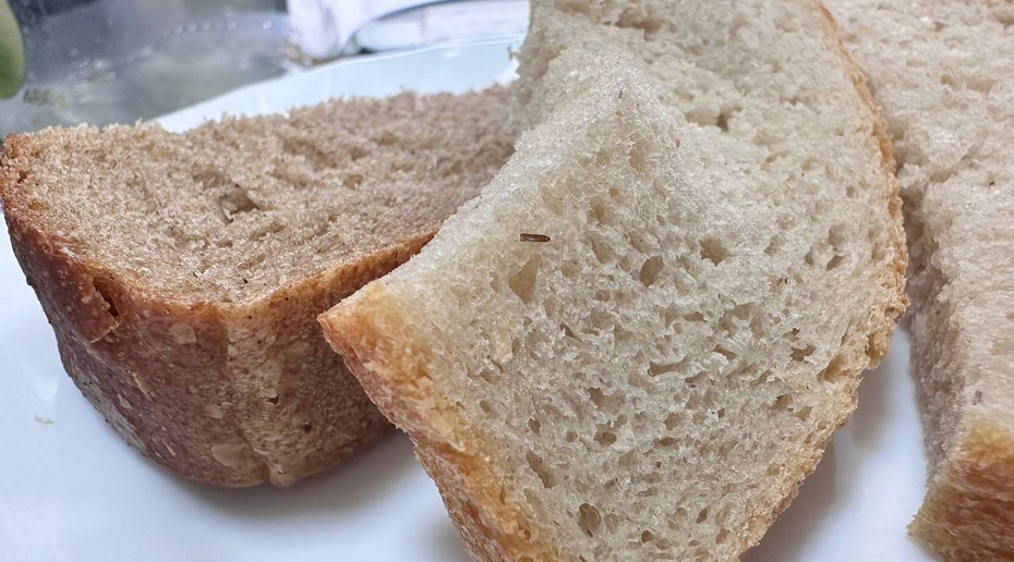 Школьников на Камчатке едва не накормили хлебом с личинками