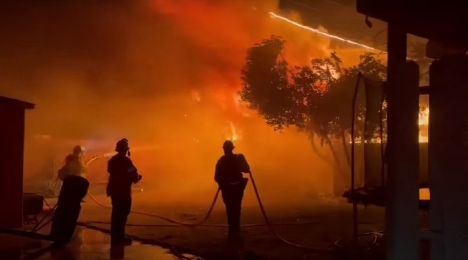 Профессор Сердитова назвала последствия пожаров в Калифорнии для других стран