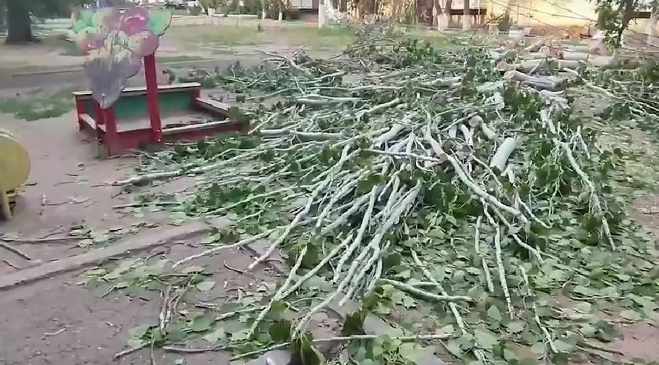 В Астрахани дерево упало на семилетнюю девочку