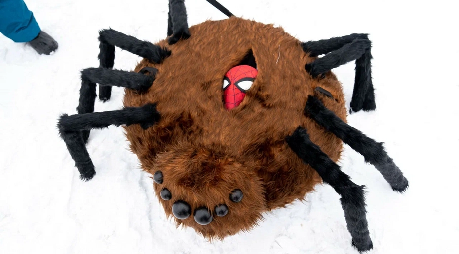 Пресс-служба News Media Holding