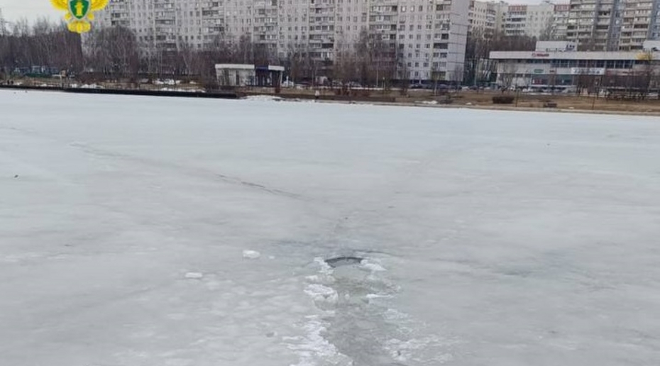 В москве женщину унесло в пруд. Тихорецк водоемы. В москве женщину унесло в пруд. Красносельский пруд во владимире. Резиновая женщина.