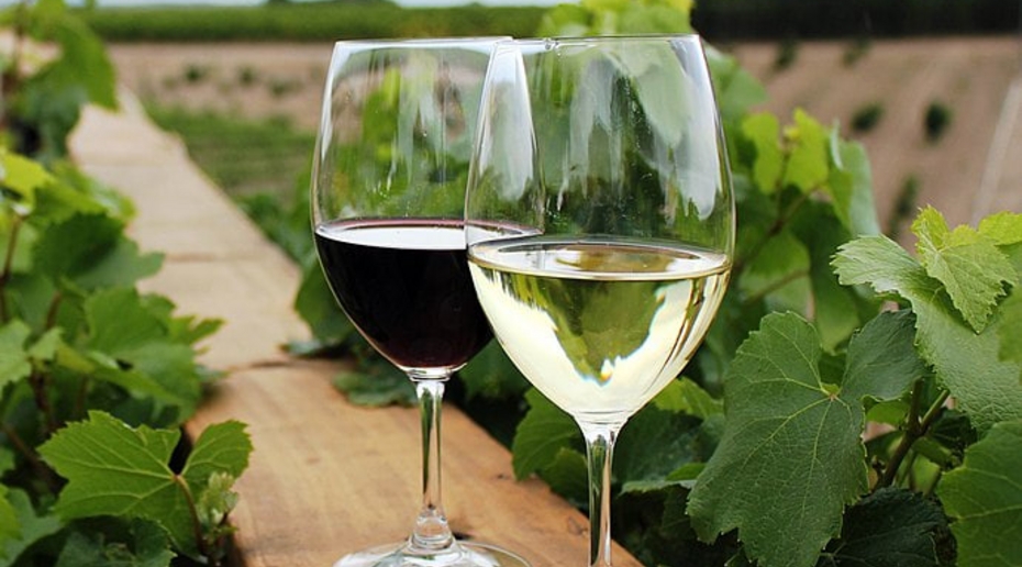 Автор «Пьяного мастера» объяснил, зачем в России создали запасы дешевого вина