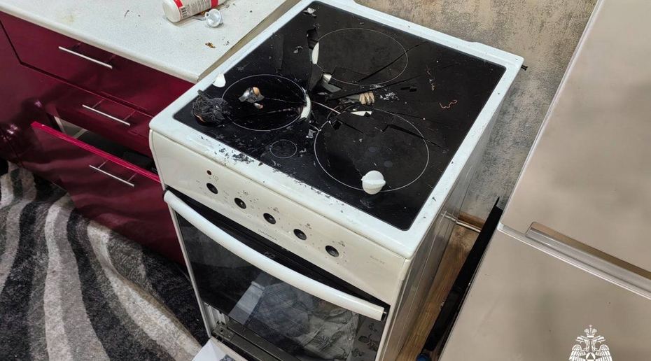 Домашний пёс случайно взорвал квартиру в Новосибирске