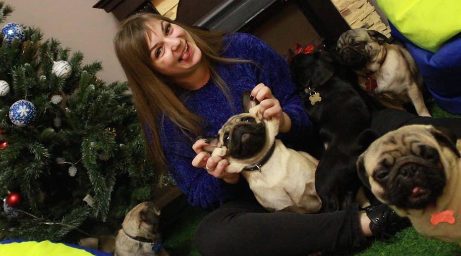 Московское "кафе с мопсами" пожаловалось на угрозы выкрасть собак