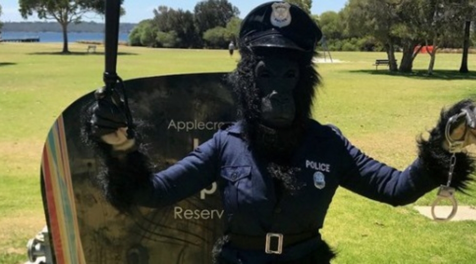 Жительница Австралии помогла полицейским поймать эксгибициониста. Она выслеживала его в костюме гориллы