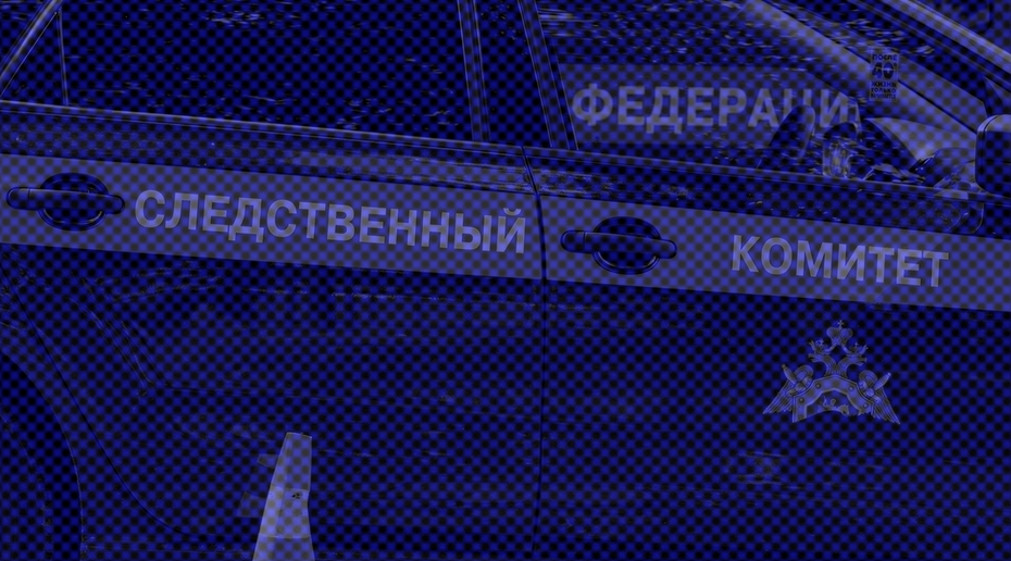 Следователи начали проверку публикаций о российской армии мундепа Люси Штейн