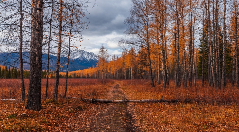 Геолог объяснил, почему Усольцевы не могли скрываться в пещере