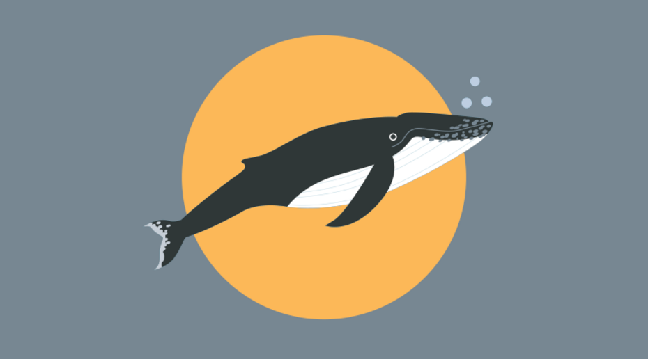 Против организаторов "китовой тюрьмы" в Приморье завели новые дела
