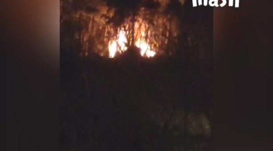 В московском Серебряном бору сгорел деревянный дом
