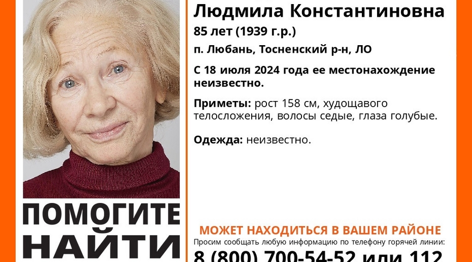 Ориентировка. Фото: поисковой отряд «ЛизаАлерт Питер»