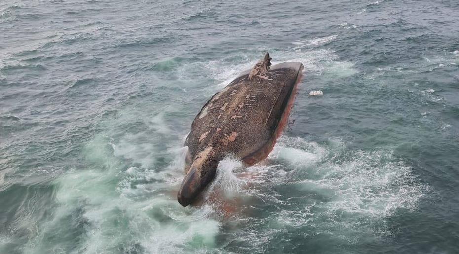 Тела погибших членов экипажа судна «Григорий Ловцов» достали из воды