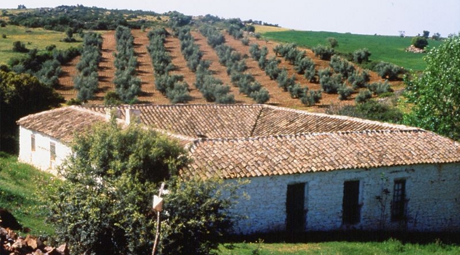 Двое мужчин захлебнулись в цистерне с навозом в США