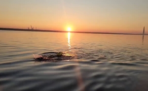 Наука и техника