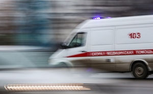 Общество