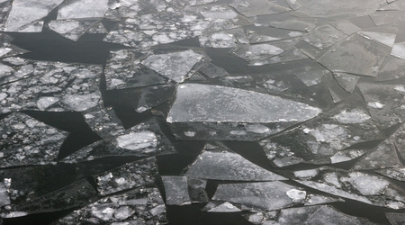 Что известно о пропавших детях в Звенигороде: последние новости вечером 9 марта